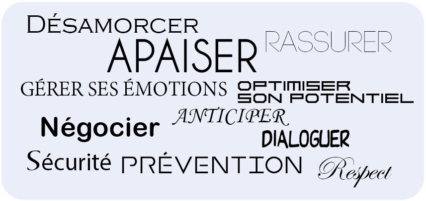 Les mots-clés pour gérer la violence Gesivi Système