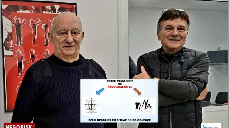 GESIVI-Négo-Analyste